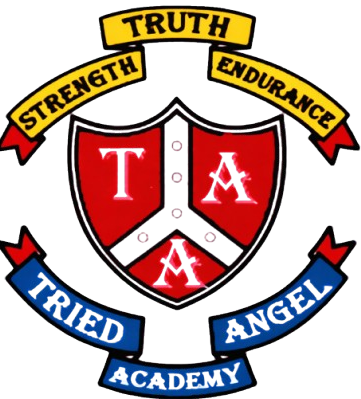 Tried Angle Academy Logo